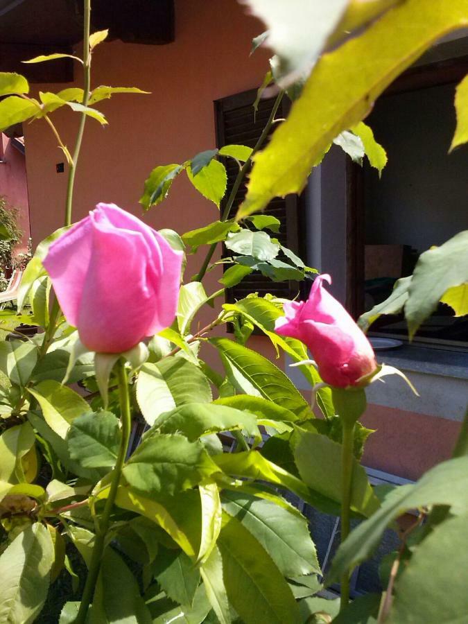 Le Ginestre Bed & Breakfast Caselle Torinese ภายนอก รูปภาพ